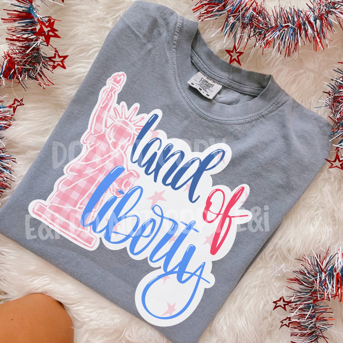 Land of Liberty - DTF Transfer