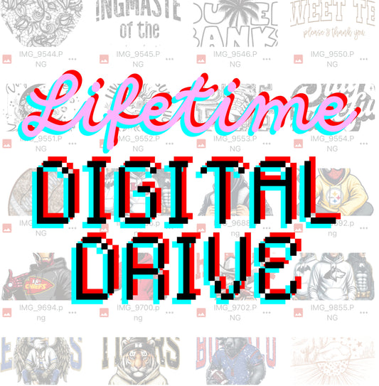 LIFETIME Digital Drive