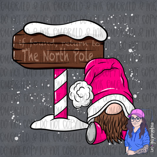 Return to The North Pole Gnome PNG Download