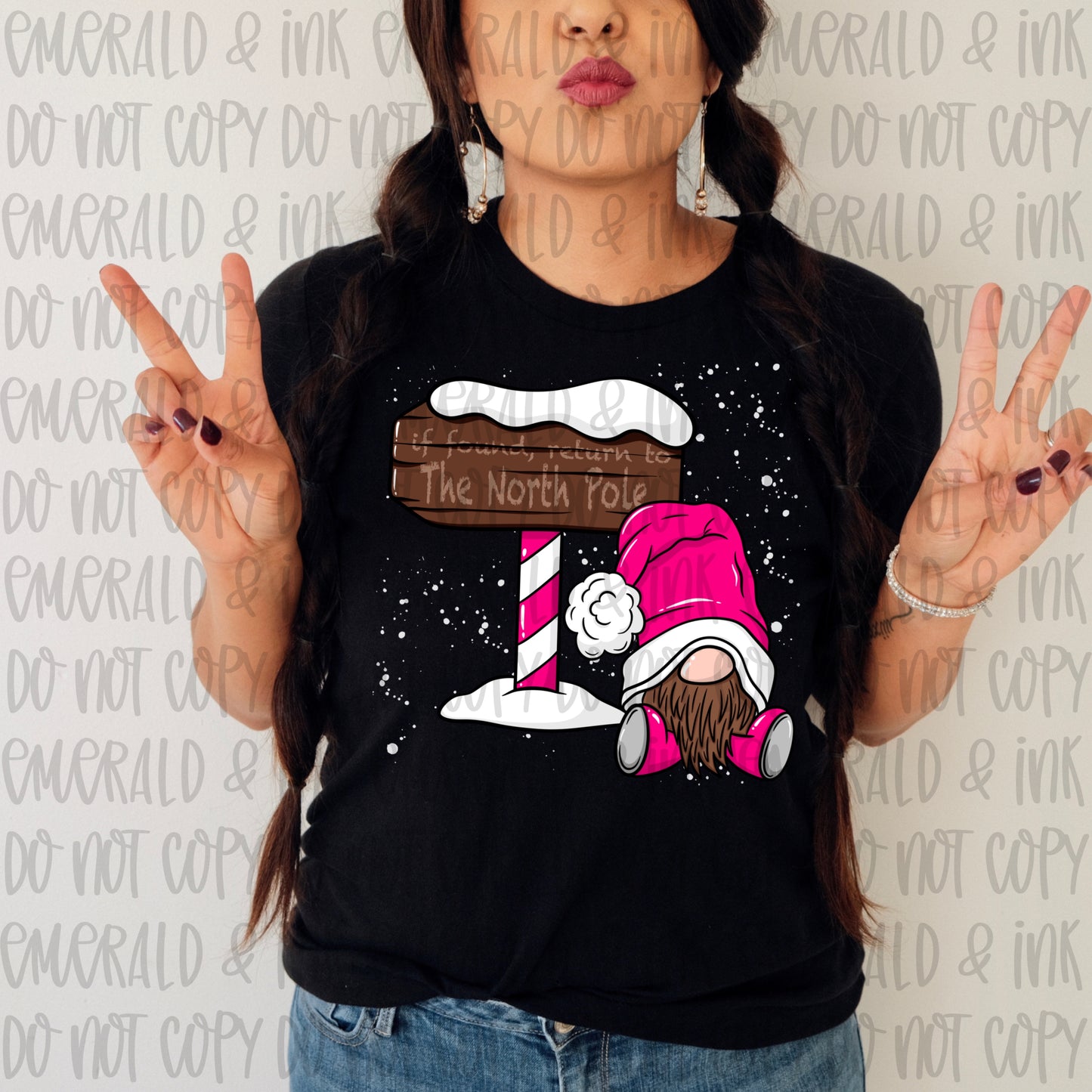 Return to The North Pole Gnome PNG Download