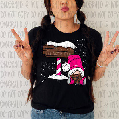 Return to The North Pole Gnome PNG Download