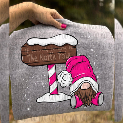 Return to The North Pole Gnome PNG Download
