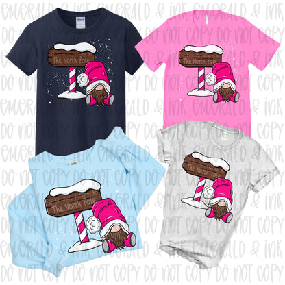 Return to The North Pole Gnome PNG Download