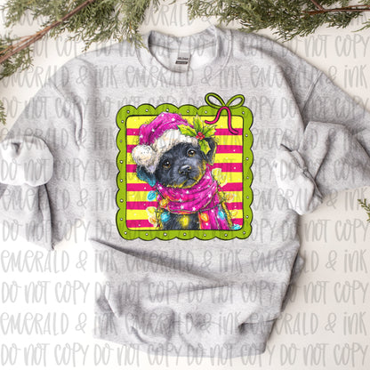 Cute Christmas Black Lab Puppy PNG Download